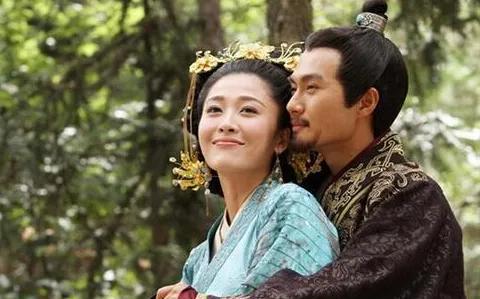 卫青为什么娶平阳公主