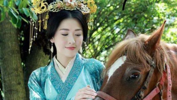 卫青为什么娶平阳公主