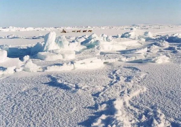 世界最大的半岛叫什么名字