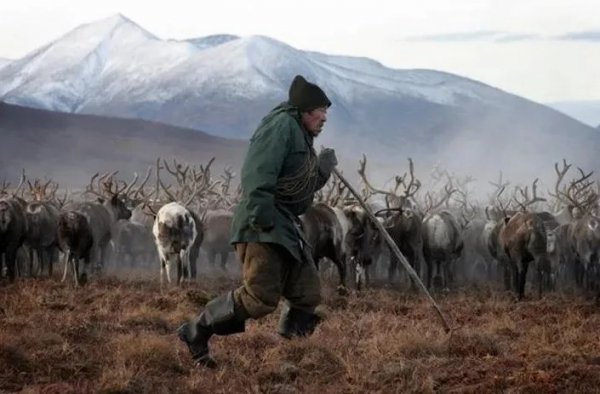 世界最大的半岛叫什么名字