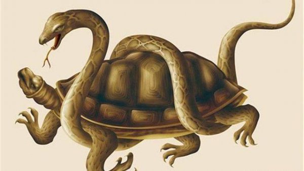 四大神兽谁最强