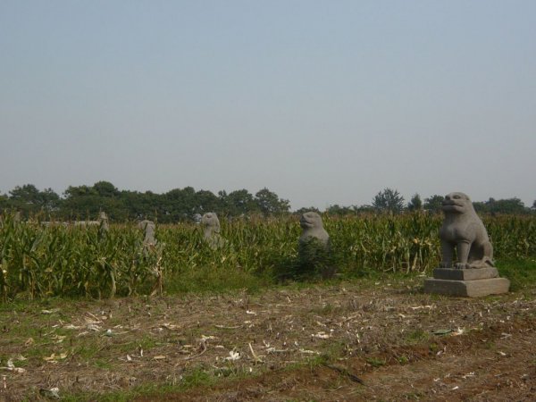 历史上宋哲宗的生平简介