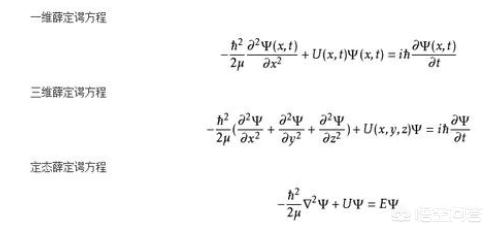 有人做过薛定谔的猫实验吗