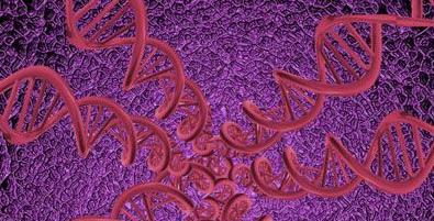 达尔文进化论的缺陷