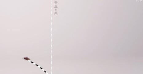 为什么苍蝇拍能拍到苍蝇手却拍不到