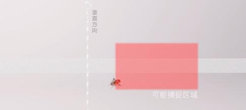 为什么苍蝇拍能拍到苍蝇手却拍不到