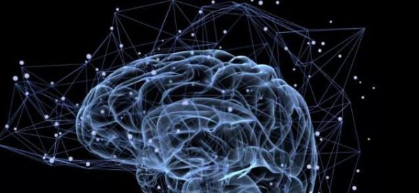 蚯蚓一分为二有两个一意识吗