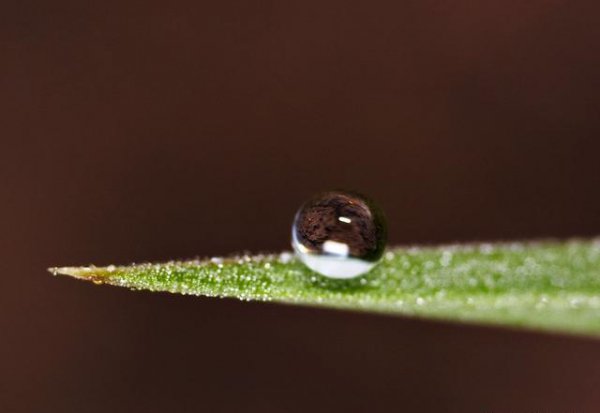 雨滴下落过程中是合滴还是分解