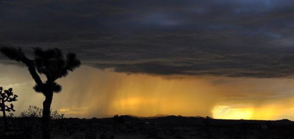 雨滴下落过程中是合滴还是分解