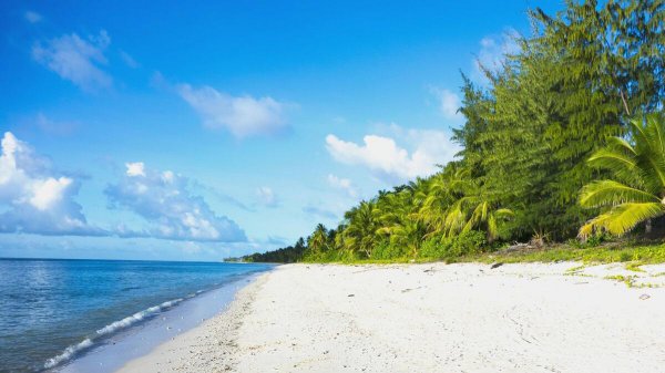 世界上最小的岛屿在哪里