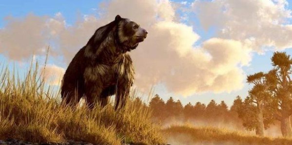 世界上最大的熊是哪种熊