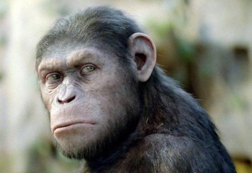 地球上第一个人类是怎么来的