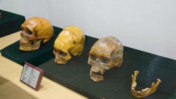 地球上第一个人类是怎么来的