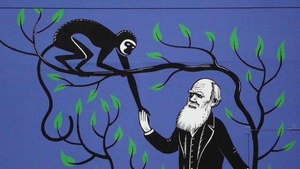 地球上第一个人类是怎么来的