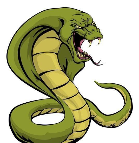 世界上最毒的蛇是哪种蛇