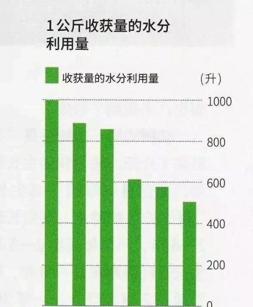 广西为什么大面积种植桉树