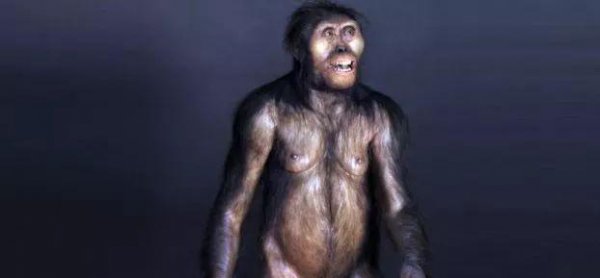 人类为什么要褪去全身毛发