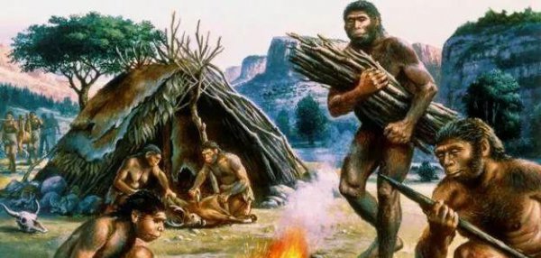 人类为什么要褪去全身毛发