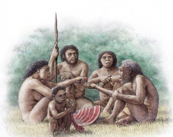 人类为什么要褪去全身毛发