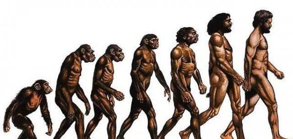 人类为什么要褪去全身毛发