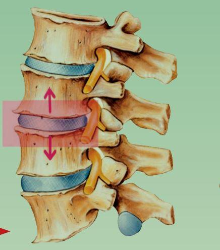 太空回来的宇航员身体有什么变化