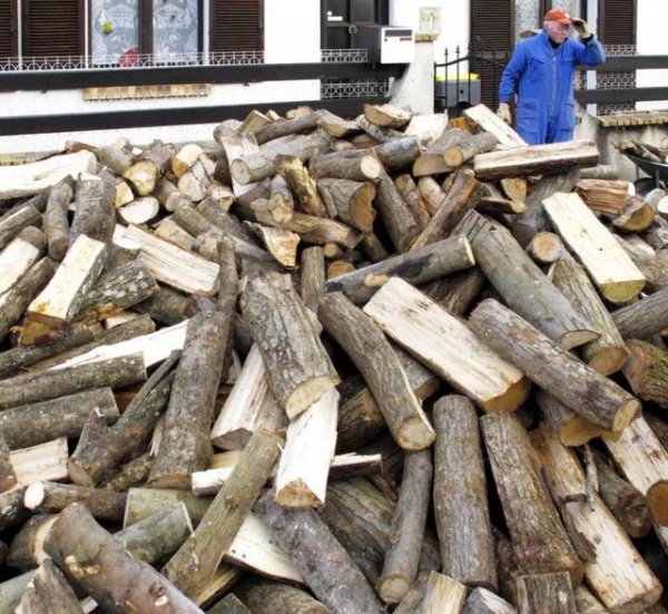 为什么有人去农村大量收购碎木