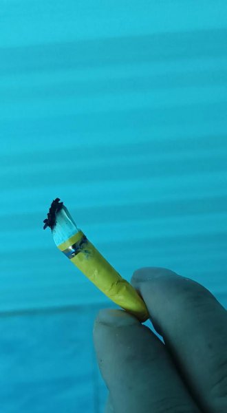 烟灰缸里永远不要倒水的说法