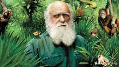 加拉帕戈斯群岛终年寒冷吗