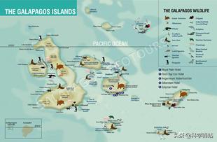 加拉帕戈斯群岛终年寒冷吗