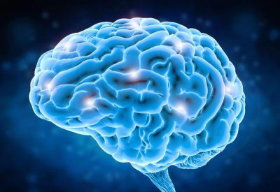 为什么说人的大脑只开发百分之几 我们只开发了大脑的多少