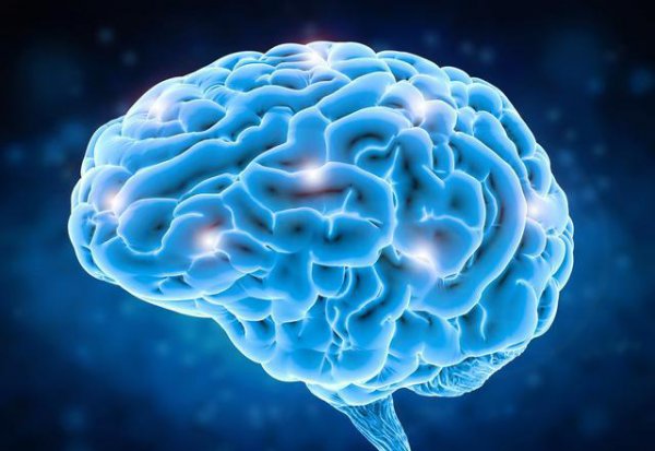 为什么说人的大脑只开发百分之几