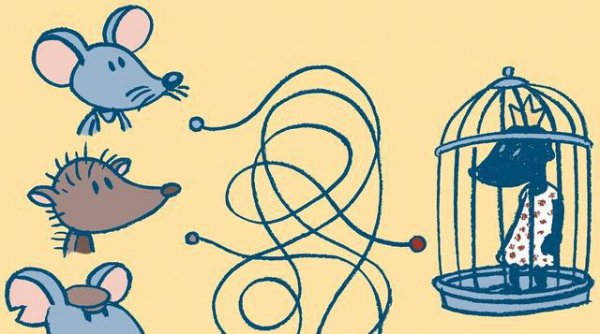 为什么说人的大脑只开发百分之几