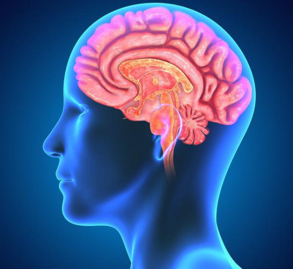 为什么说人的大脑只开发百分之几