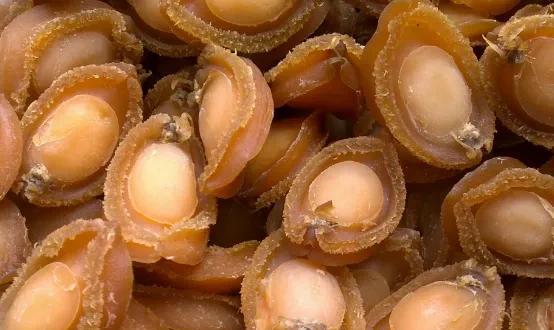 鲍鱼几头指的是什么意思