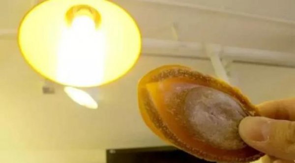 鲍鱼几头指的是什么意思