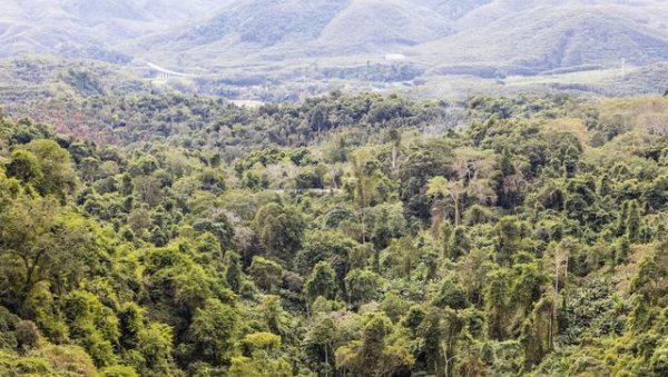 农村的老人说没有虫鸣的深山不要只身前往