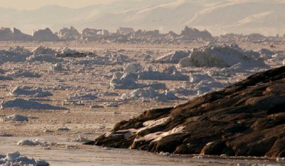 细菌不可以保存成为化石说法正确吗 最古老的细菌化石