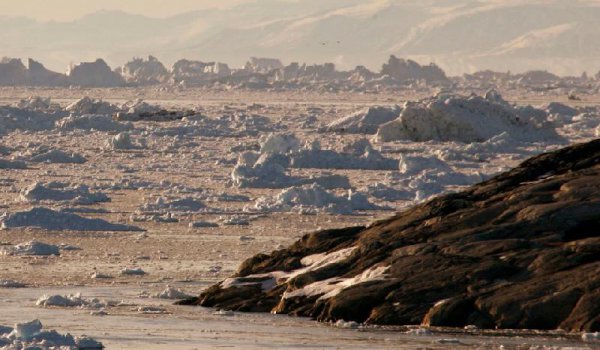 细菌不可以保存成为化石说法正确吗