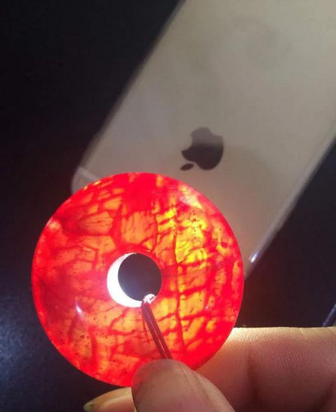 把玉石放在活羊腿里面再取出来