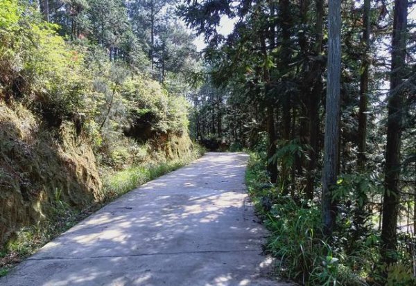 死去的人托梦是不是真实的