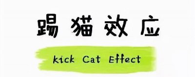 踢猫效应的故事原理和启示 著名的踢猫效应寓意及意义