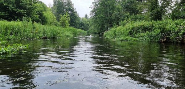 因为人际关系太差让我焦虑抑郁了