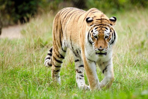 因为人际关系太差让我焦虑抑郁了