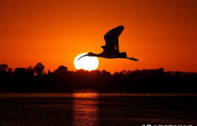 唯女子与小人难养也什么意思 孔子说女人和小人难养