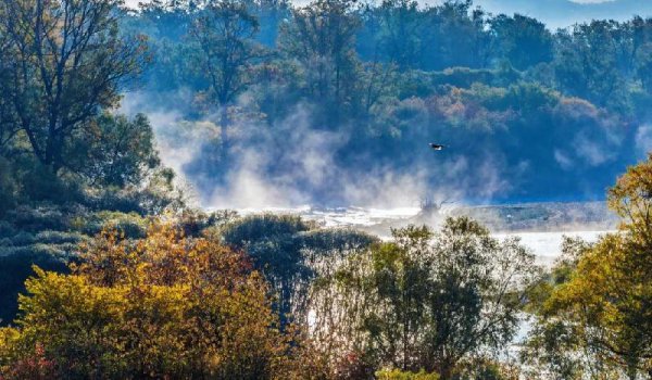 刘禹锡的代表作有哪些名篇