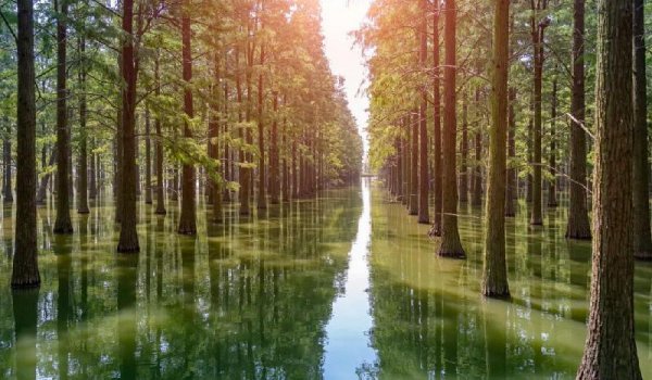 刘禹锡的代表作有哪些名篇