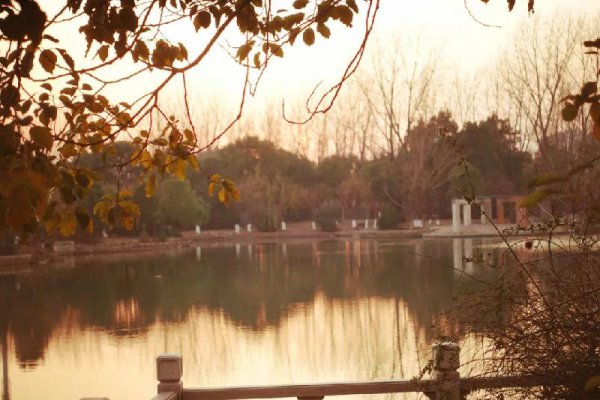 刘禹锡的代表作有哪些名篇