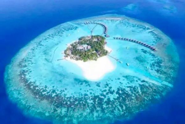 马尔代夫为什么计划举国搬迁