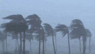 马尔代夫为什么计划举国搬迁