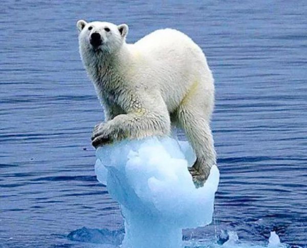 马尔代夫为什么计划举国搬迁